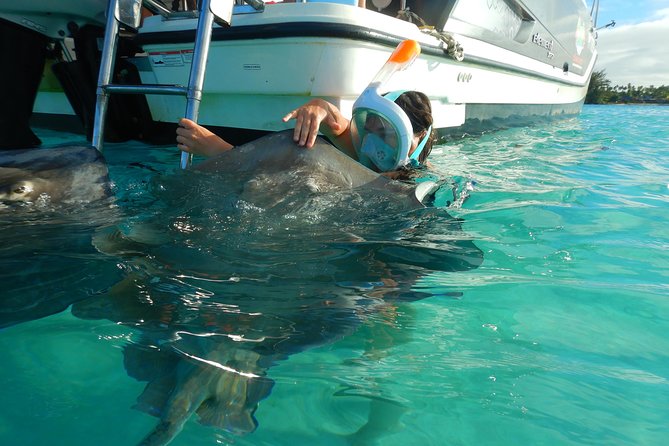 Boat tour 1/2 day Excursion in the lagoon of Moorea - Key highlights worth knowing before you go