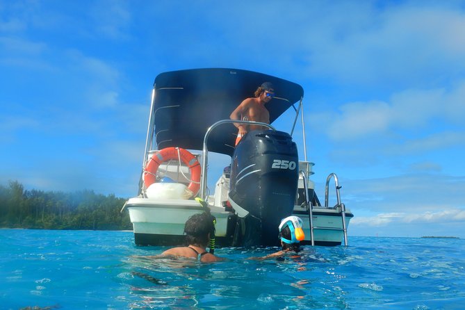 Boat tour 1/2 day Excursion in the lagoon of Moorea - Motu Tiahura Coral Garden: Colorful Fish Between Two Motus