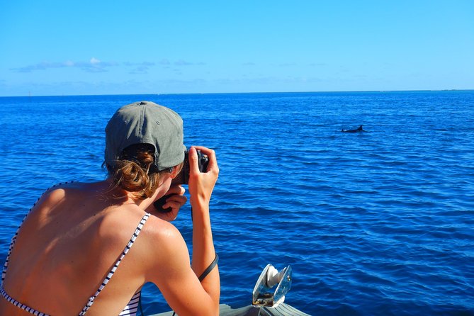 Boat tour 1/2 day Excursion in the lagoon of Moorea - Gear, Comfort, and Ear Issues: What You Should Know