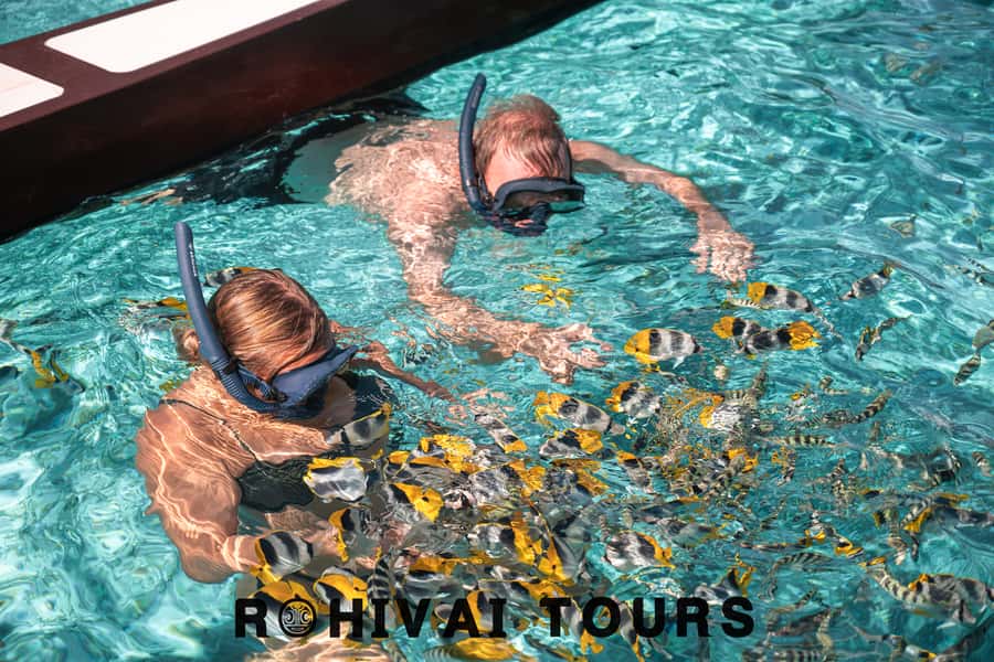 Bora Bora: 1/2 day lagoon safari - Shared tour - On the boat: safety brief, then straight to the lagoon