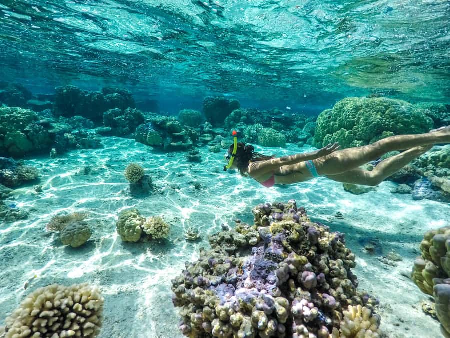 Bora Bora: 3.5-Hour Lagoon Boat Tour with Snorkeling - Key highlights at a glance
