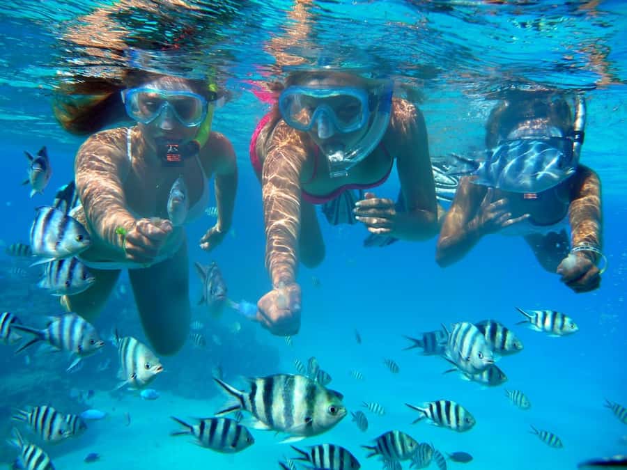 Bora Bora: 3.5-Hour Lagoon Boat Tour with Snorkeling - Stop 4 (when conditions allow): eagle rays in the water