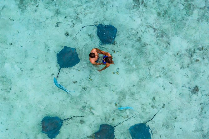 Bora Bora 4WD Tour & Eco Shark & Ray Snorkel Cruise - Key points before you go