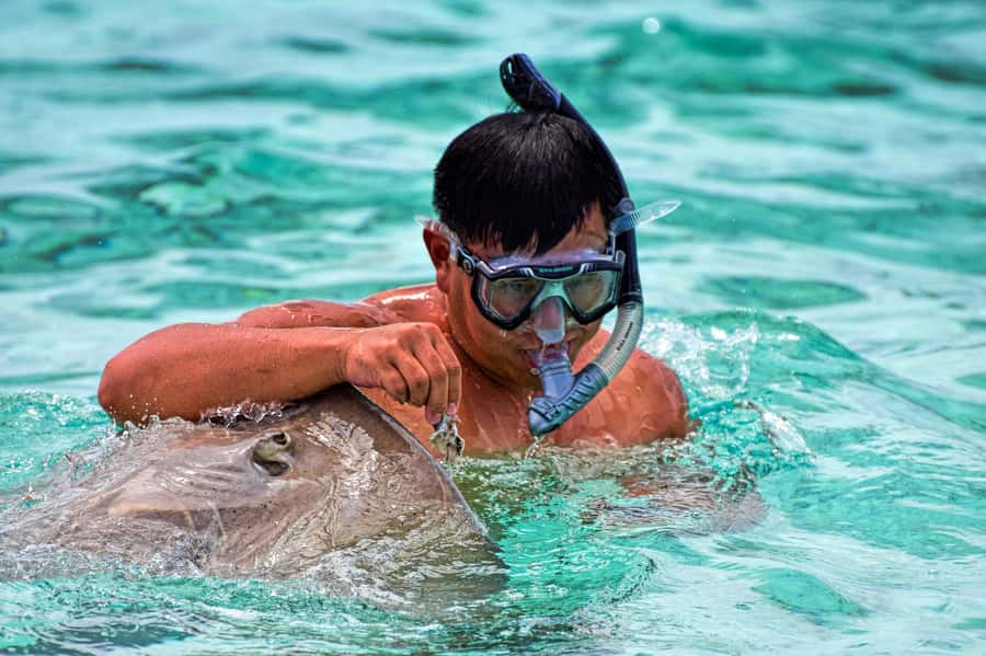 Bora Bora: 4x4 Safari with Snorkelling Combo Tour - Lunch in the middle: BBQ, ceviche, grilled chicken, and fresh fruit