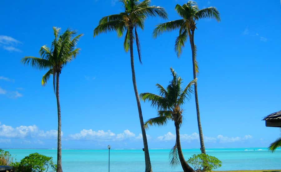 Bora Bora: 4x4 Safari with Snorkelling Combo Tour - River boat break: a short change of scenery that matters