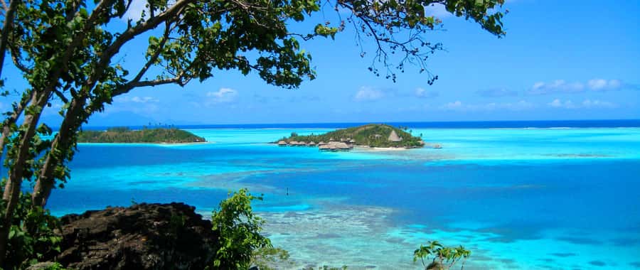 Bora Bora: 4x4 Safari with Snorkelling Combo Tour - Snorkeling with reef sharks and grey rays: what you will actually see