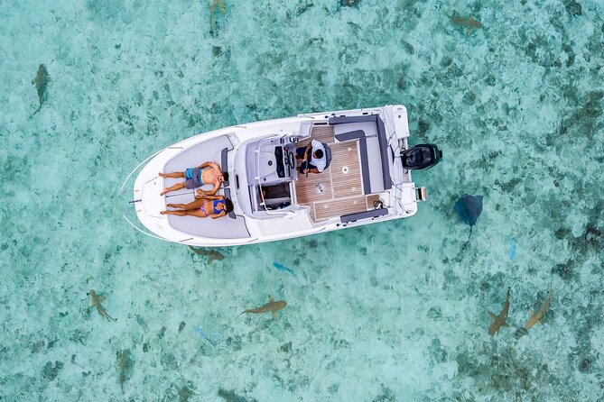 Bora Bora adventure Private Combo Jet Ski and Eco Sharks Snorkel - Key highlights you will feel right away