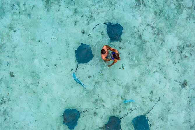 Bora Bora adventure Private Combo Jet Ski and Eco Sharks Snorkel - Getting Started: 9:00 AM pickup from Bora Bora Moana Adventure Tours