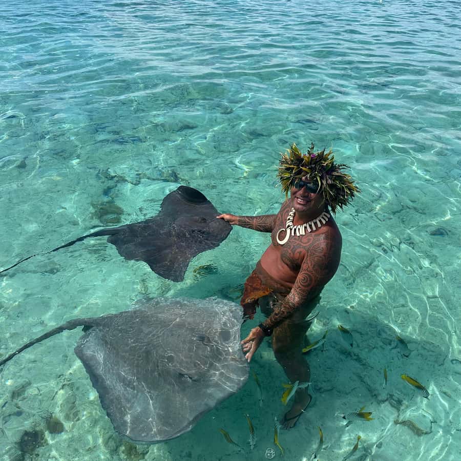 Bora Bora: Blue Lagoon Cruise, Snorkeling and Lunch . - Key things I’d watch for