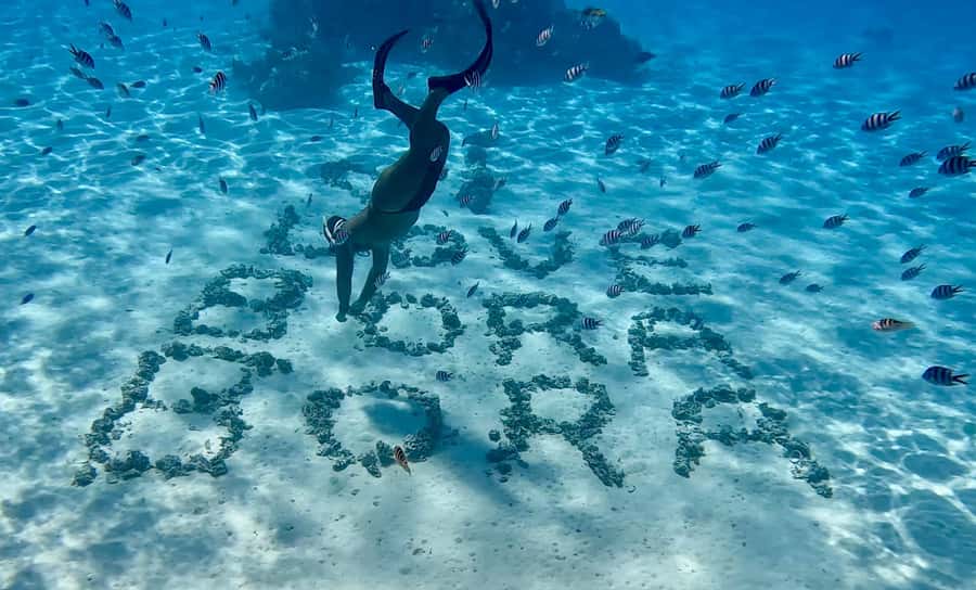 Bora Bora: Blue Lagoon Cruise, Snorkeling and Lunch . - Boat Comfort and the Real Seasickness Check