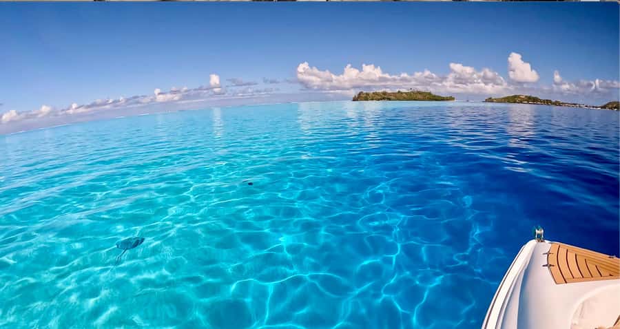 Bora Bora: Blue Lagoon Cruise, Snorkeling and Lunch . - What to Bring, What’s Provided, and What You Must Avoid