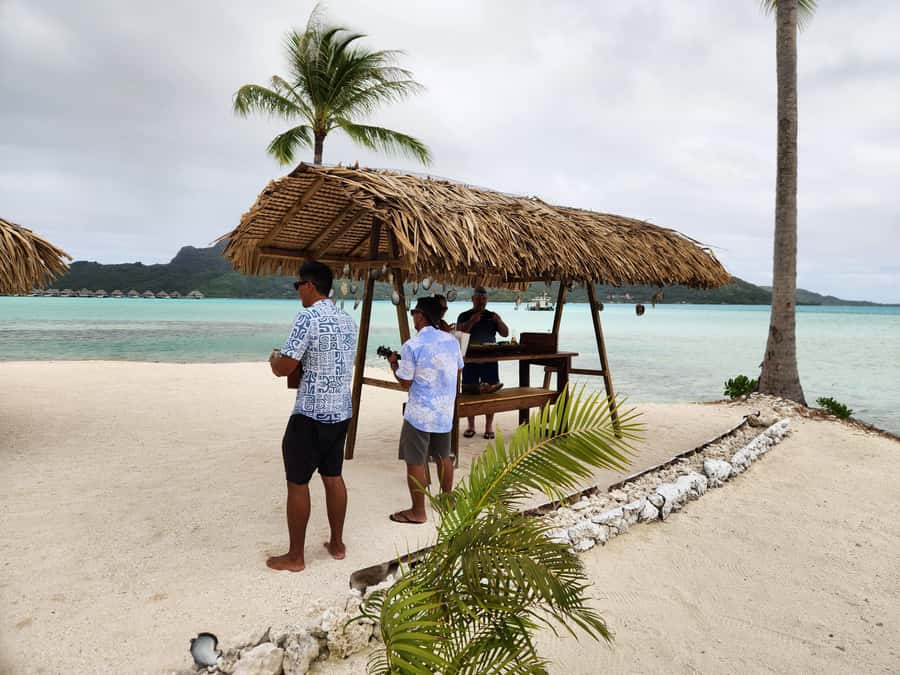 Bora Bora: Discovering the Tahitian black pearl ! - Why Motu Taufarii is the right stage for black pearls