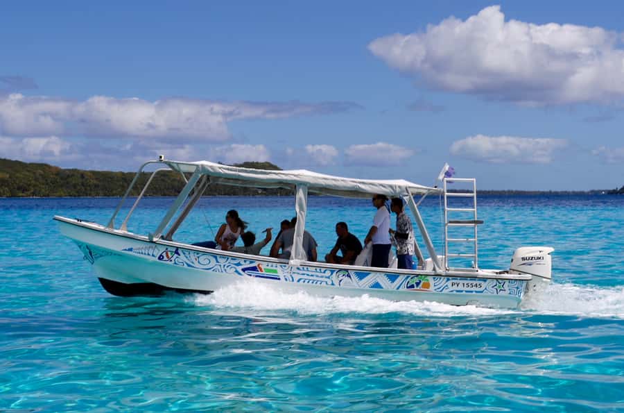 Bora Bora: Eco Shark and Snorkeling Safari - The Barrier Reef Coral Garden: Where the Fish Steal the Show