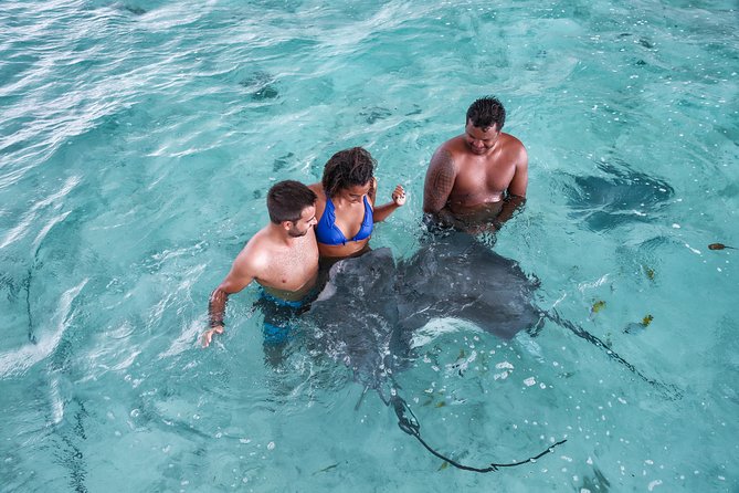 Bora Bora Eco Snorkel Cruise Including Snorkeling with Sharks and Stingrays - Key things to know before you go