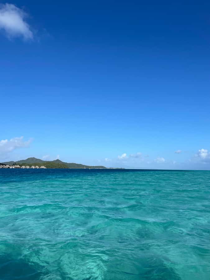 Bora Bora: Full day Lagoon Safari & Lunch on a Motu - ST - Price and value check: is $151 a good deal?