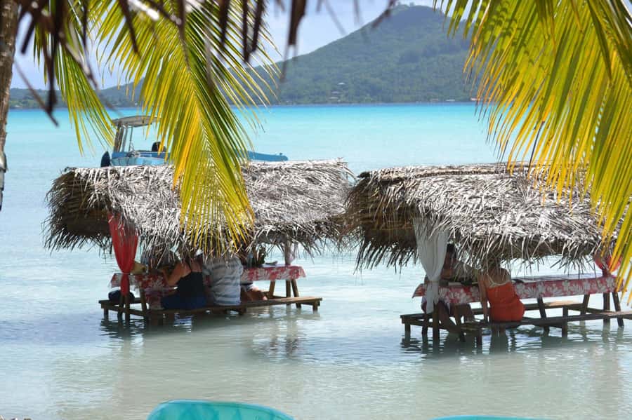 Bora Bora: Full-Day Lagoon Snorkelling Tour - Who this tour suits best, and who should consider alternatives