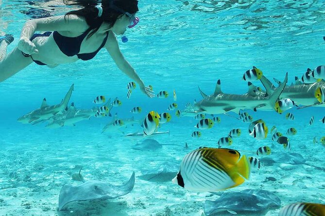 Bora Bora Full Day Snorkeling with Lunch - Who This Tour Fits Best in Bora Bora