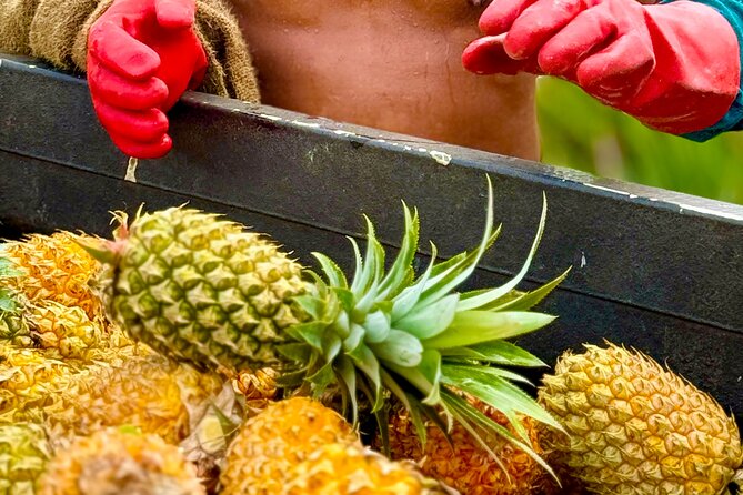 Bora Bora Gourmet Odyssey - Food Tour - A Bora Bora Food Tour That Feels Like Sightseeing With a Purpose
