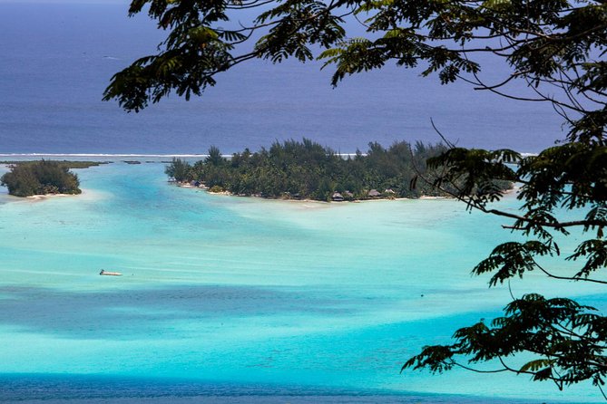 Bora Bora Half Day 4X4 Island Safari Tours - Faanui Valley and the Emmanuel Masson artist stop for real island texture