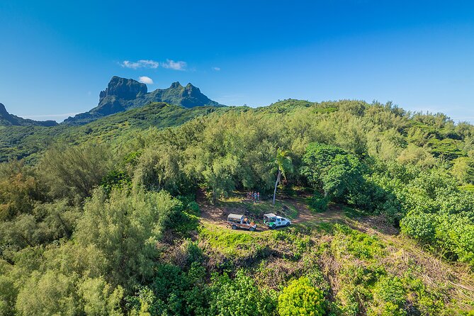 Bora Bora Half Day 4X4 Island Safari Tours - The driving experience: steep grades, bumpy roads, and how to prepare