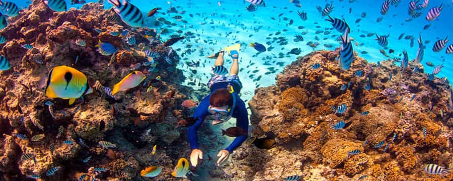 Bora Bora: Half Day Catamaran Sailing & Snorkelling - Key things to know before you go