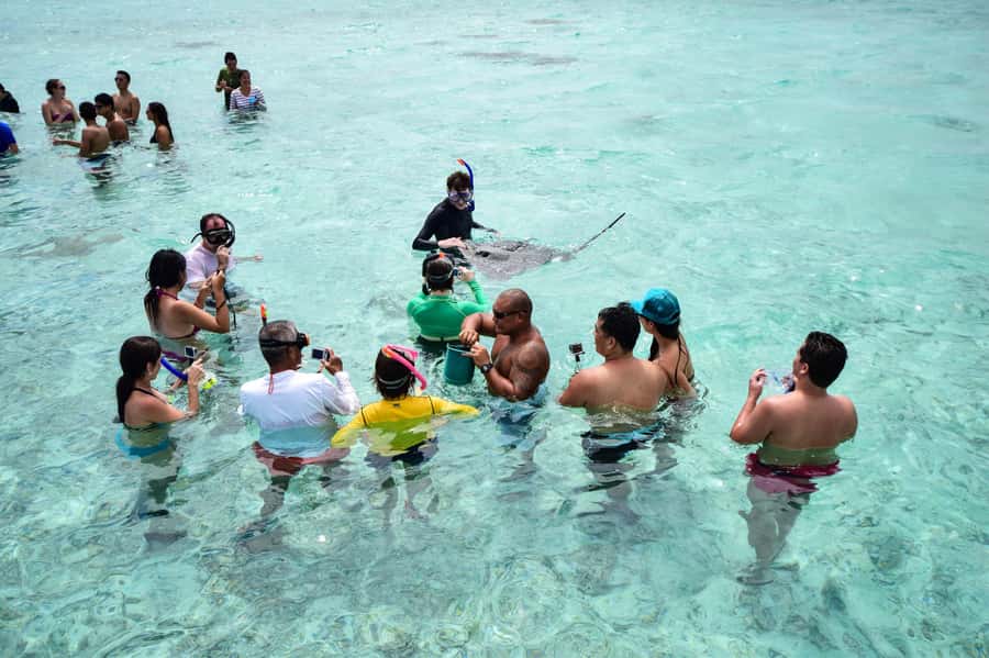 Bora Bora: Half-Day Lagoon Snorkelling Tour - Getting on the water: Matira or Vaitape pickup and the lagoon cruise