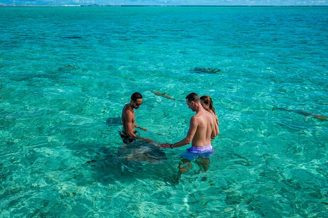 Bora Bora Half Day Snorkeling - Manta Rays and Other Swims: sharks, stingrays, and timing