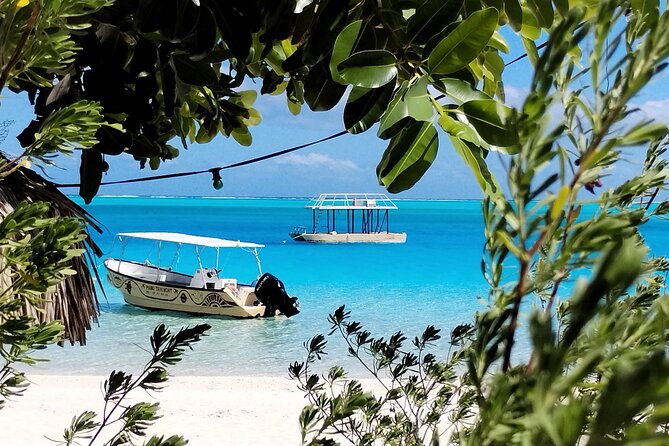 Bora Bora Half Day Snorkeling - Should You Book This Half-Day Snorkeling Trip?
