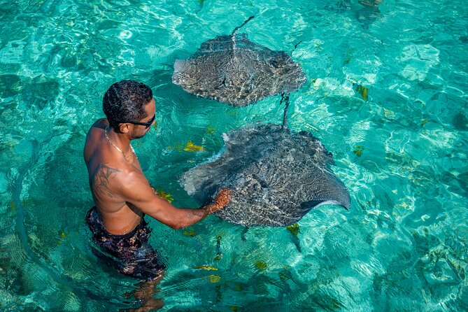 Bora Bora Half Day Snorkeling - Coral Gardens Snorkel Stop: what you should look for