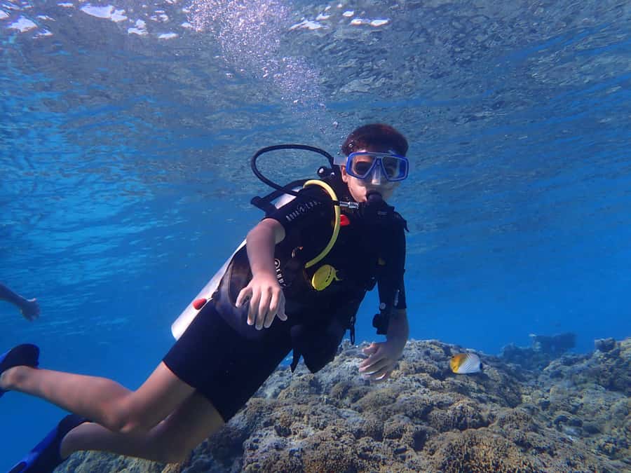 Bora Bora: Introductory Dive - Bora Bora’s Lagoon, With Training That Actually Prepares You