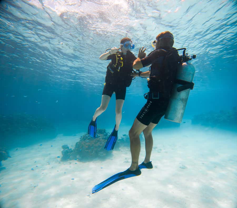 Bora Bora: Introductory Dive - What the Two-Hour Schedule Feels Like
