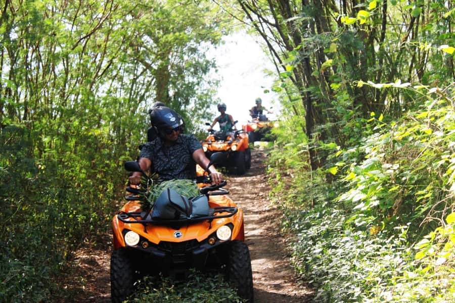 Bora Bora: Island Tour and Mountains Getaway by Quad Bike - Key highlights you will actually feel