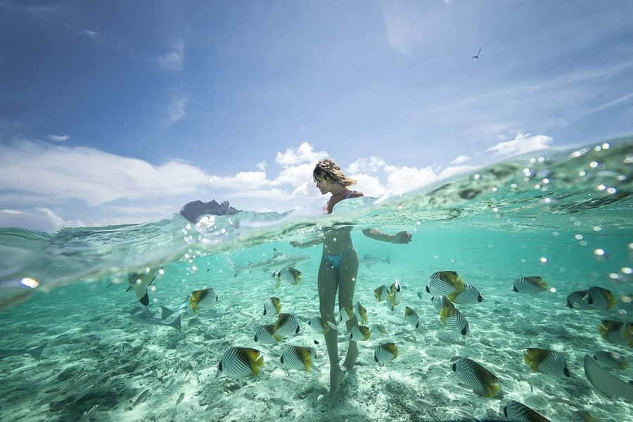 Bora Bora: Jet Ski, Lunch & Shark/ Ray Safari - Key things that make this Bora Bora combo worth your time