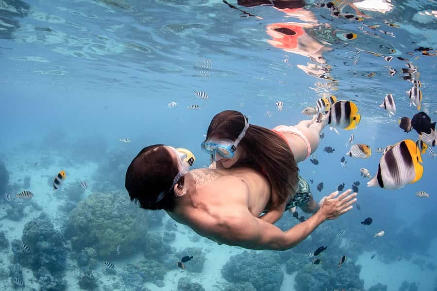 Bora Bora: Jet Ski, Lunch & Shark/ Ray Safari - Price and value: what you’re really paying for at $295