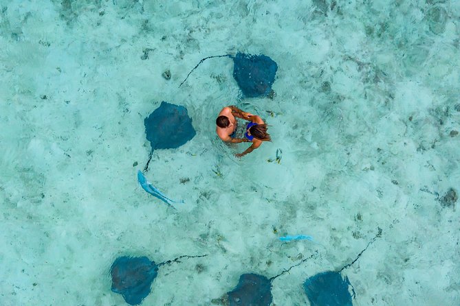 Bora Bora Jet Ski Tour, & Eco Shark / Ray Snorkel Cruise - Bora Bora Jet Ski and Shark, Ray Snorkel: The Big Picture