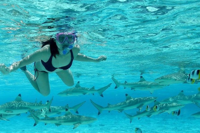 Bora Bora Jet Ski Tour, & Eco Shark / Ray Snorkel Cruise - Lunch at Lucky House Fare Manuia: worth planning for