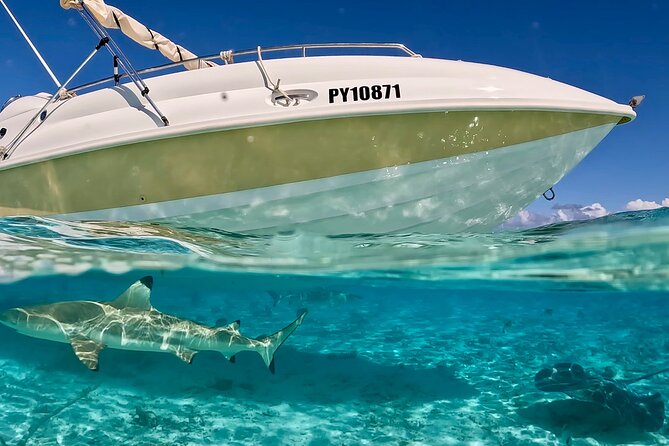 Bora Bora Jet Ski Tour, & Eco Shark / Ray Snorkel Cruise - After lunch eco adventure: The reef shark and stingray safari