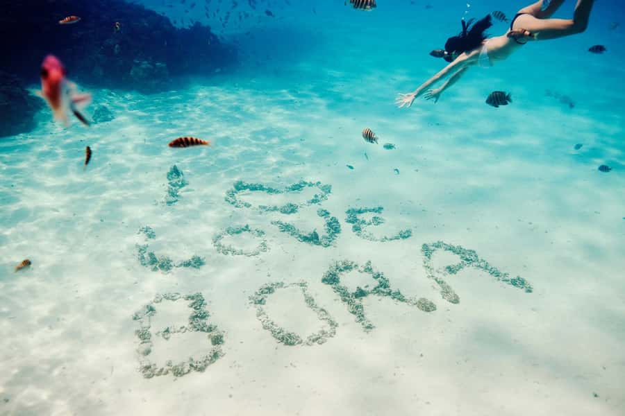 Bora Bora: Lagoon Tour and Snorkeling Experience - Key highlights worth planning around