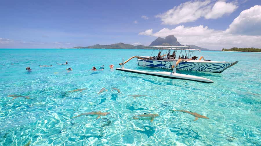 Bora Bora: Lagoon Tour and Snorkeling Experience - Stop 1: stingrays in warm, shallow lagoon water