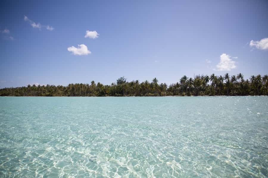 Bora Bora: Lagoon Tour and Snorkeling Experience - Stop 3: blacktip and lemon sharks, with a choice in the water
