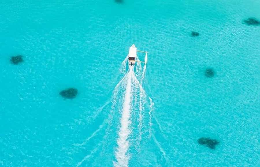 Bora Bora: Lagoon Tour and Snorkeling Experience - The sandbank break: coconut bread, fruit, and Mount Otemanu views