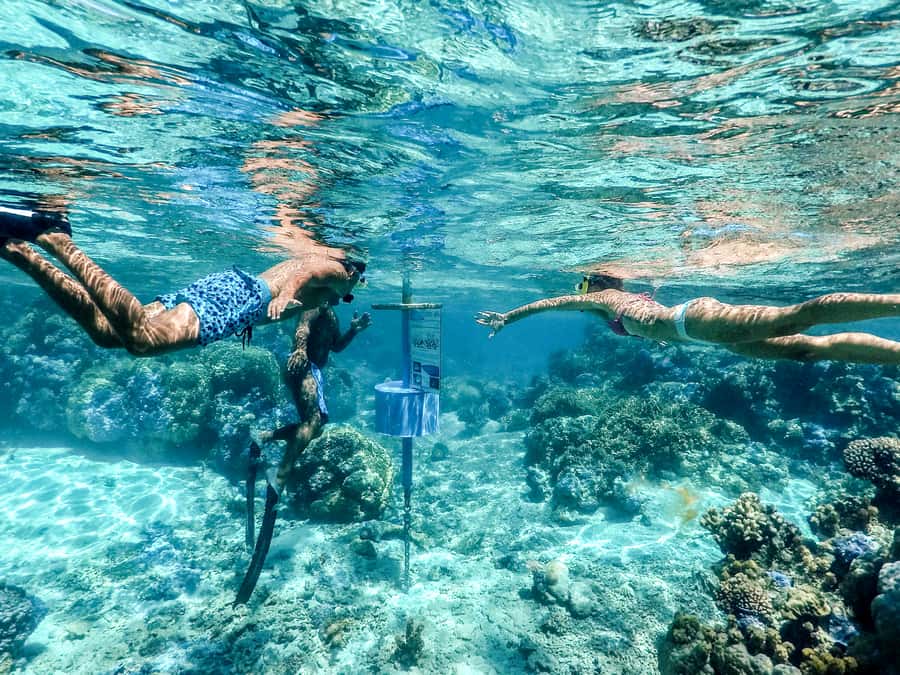 Bora Bora: Lagoon Tour and Snorkeling Experience - How to make snorkeling feel easier and safer