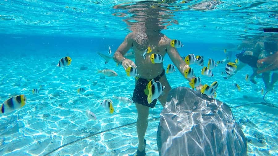 Bora Bora: Lagoon Tour and Snorkeling Experience - Who should book this, and who should skip it