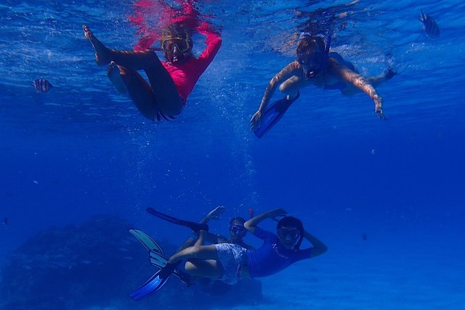Bora Bora: Luxury Private Half Day Snorkeling Tour - The snorkeling rhythm: 3 or 4 lagoon swims