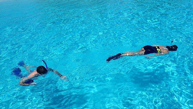 Bora Bora: Luxury Private Half Day Snorkeling Tour - Price and value: what you’re paying for