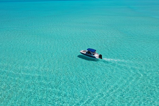 Bora Bora: Luxury Private Half Day Snorkeling Tour - Realistic expectations for manta rays and eagle rays