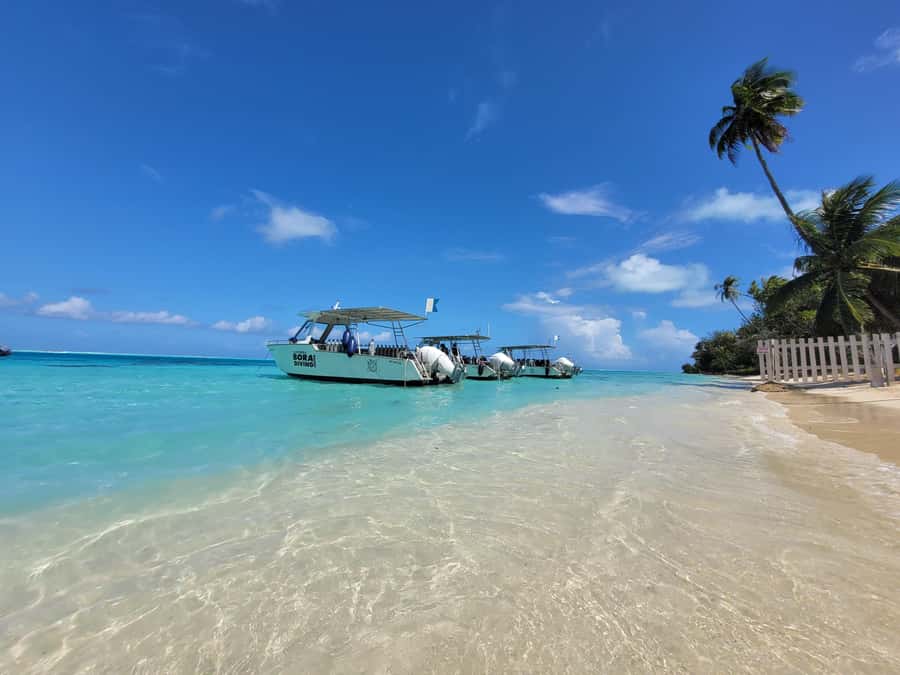 Bora Bora: Morning 2 tank dive for certified divers - Morning pickup and getting to the Bora Bora scuba spots fast