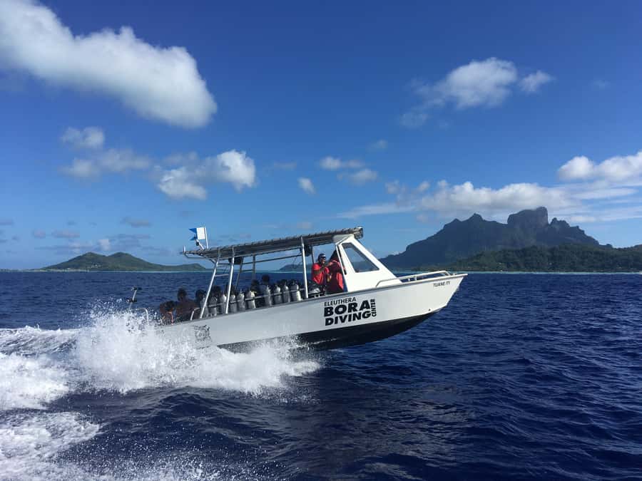Bora Bora: Morning 2 tank dive for certified divers - Gear prep, snacks, and the little comfort details