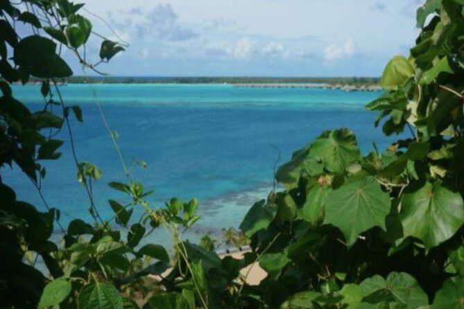 Bora Bora Off-Road Sightseeing Tour - Price and value: what you get for $148.94 in 3 hours