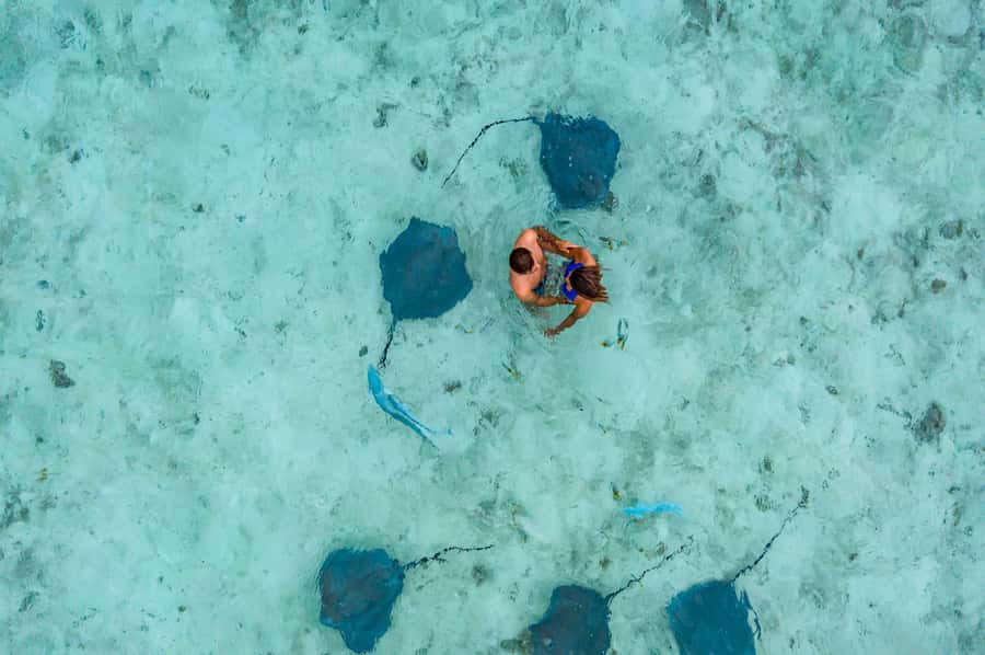 Bora Bora: Private Boat Tour with Snorkeling and Drinks - Key things to know before you go
